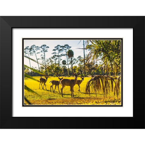 Wassup Black Modern Wood Framed Art Print with Double Matting by Malone, Will