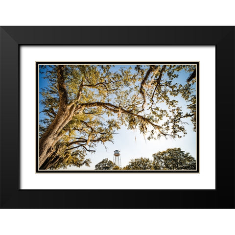 Watertower 4 Black Modern Wood Framed Art Print with Double Matting by Malone, Will