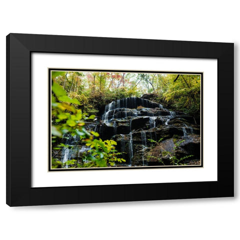 Yellow Branch 1 Black Modern Wood Framed Art Print with Double Matting by Malone, Will