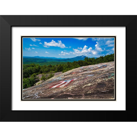 American Bald Horizontal Black Modern Wood Framed Art Print with Double Matting by Malone, Will