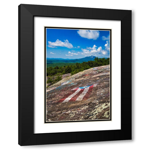 American Bald Black Modern Wood Framed Art Print with Double Matting by Malone, Will