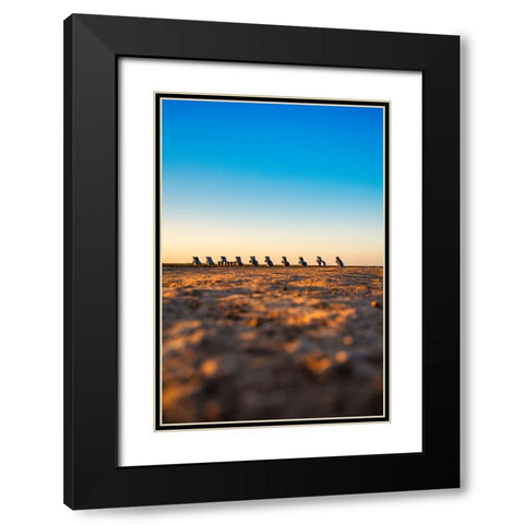 Cadillac Ranch 8 Vertical Black Modern Wood Framed Art Print with Double Matting by Malone, Will