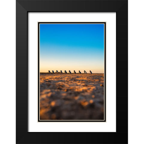 Cadillac Ranch 8 Vertical Black Modern Wood Framed Art Print with Double Matting by Malone, Will