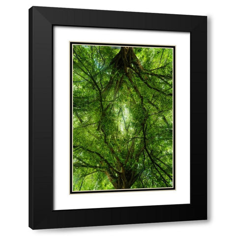 Grand Tree Black Modern Wood Framed Art Print with Double Matting by Malone, Will