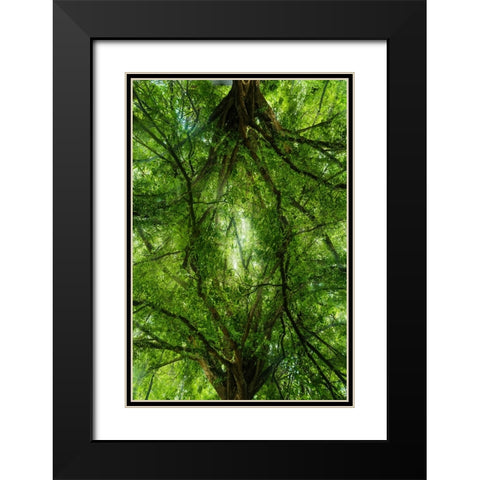 Grand Tree Black Modern Wood Framed Art Print with Double Matting by Malone, Will