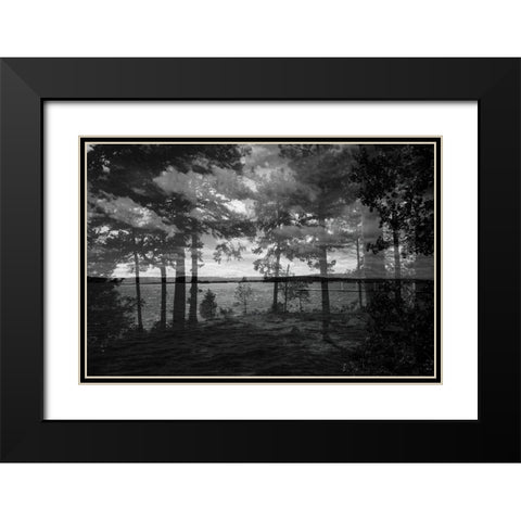 Lake Hartwell III Black Modern Wood Framed Art Print with Double Matting by Malone, Will