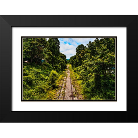 Overgrowth 2 Black Modern Wood Framed Art Print with Double Matting by Malone, Will