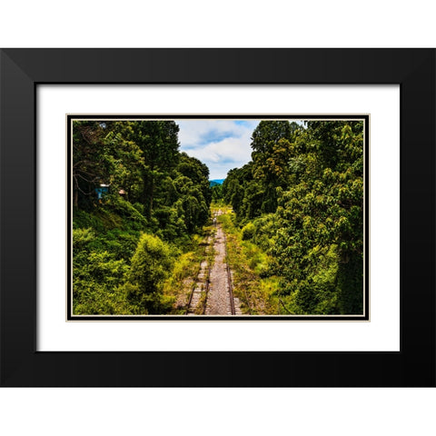 Overgrowth 3 Black Modern Wood Framed Art Print with Double Matting by Malone, Will