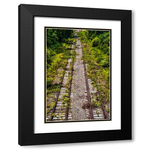 Overgrowth 4 Black Modern Wood Framed Art Print with Double Matting by Malone, Will