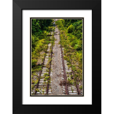 Overgrowth 4 Black Modern Wood Framed Art Print with Double Matting by Malone, Will