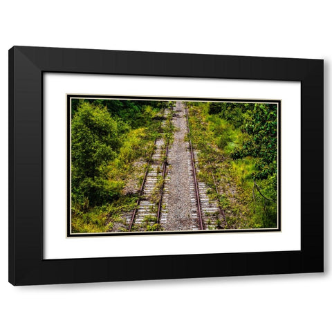 Overgrowth  Black Modern Wood Framed Art Print with Double Matting by Malone, Will