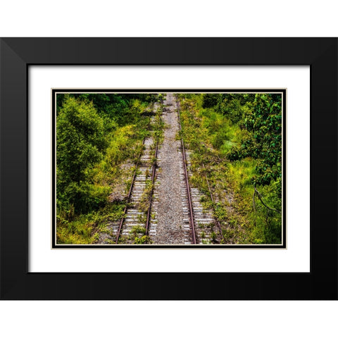 Overgrowth  Black Modern Wood Framed Art Print with Double Matting by Malone, Will
