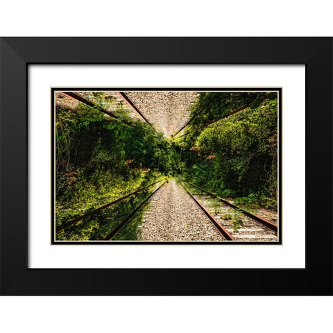 Saluda Tracks Upside Down 3 Black Modern Wood Framed Art Print with Double Matting by Malone, Will