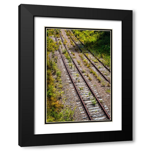 Saluda Tracks Black Modern Wood Framed Art Print with Double Matting by Malone, Will