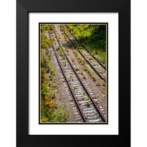 Saluda Tracks Black Modern Wood Framed Art Print with Double Matting by Malone, Will
