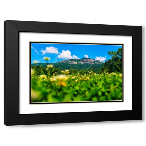 Table Rock Horizontal Black Modern Wood Framed Art Print with Double Matting by Malone, Will