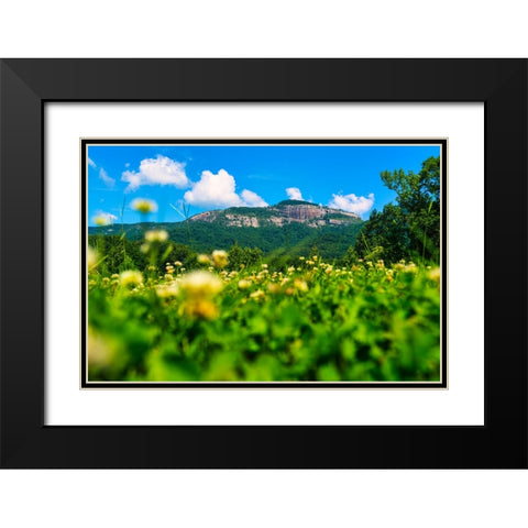 Table Rock Horizontal Black Modern Wood Framed Art Print with Double Matting by Malone, Will