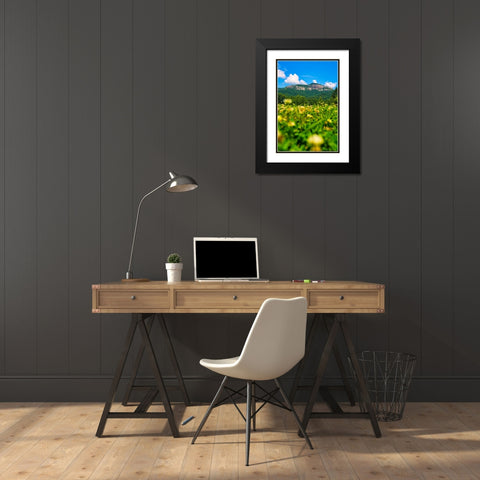Table Rock Vertical Black Modern Wood Framed Art Print with Double Matting by Malone, Will