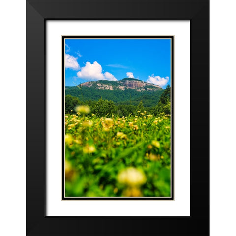 Table Rock Vertical Black Modern Wood Framed Art Print with Double Matting by Malone, Will