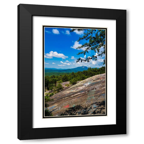 The Bald 2 Black Modern Wood Framed Art Print with Double Matting by Malone, Will