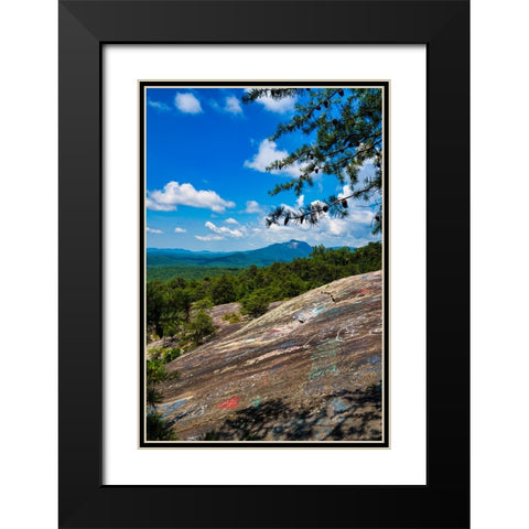 The Bald 2 Black Modern Wood Framed Art Print with Double Matting by Malone, Will