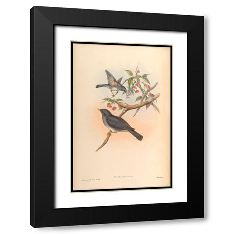 Merula Unicolor Black Modern Wood Framed Art Print with Double Matting by CAG