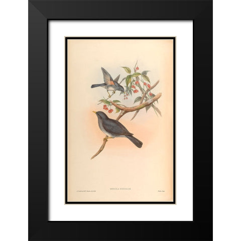 Merula Unicolor Black Modern Wood Framed Art Print with Double Matting by CAG