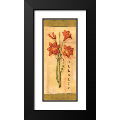 Les Lys IV Black Modern Wood Framed Art Print with Double Matting by Audrey, Charlene