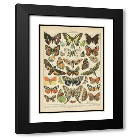 Papillons I Black Modern Wood Framed Art Print with Double Matting by Babbitt, Gwendolyn