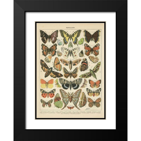 Papillons I Black Modern Wood Framed Art Print with Double Matting by Babbitt, Gwendolyn