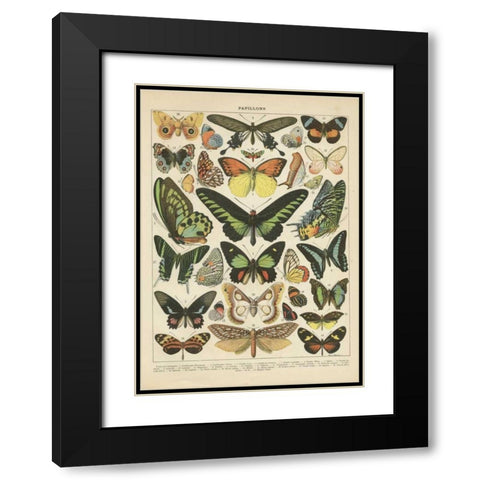 Papillons II Black Modern Wood Framed Art Print with Double Matting by Babbitt, Gwendolyn