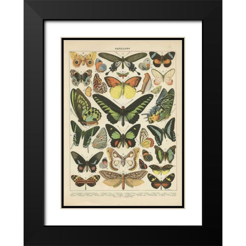 Papillons II Black Modern Wood Framed Art Print with Double Matting by Babbitt, Gwendolyn