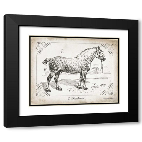 Farm Horse I Black Modern Wood Framed Art Print with Double Matting by Babbitt, Gwendolyn