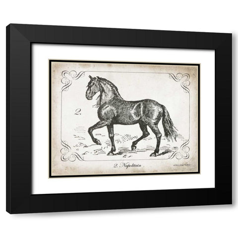 Farm Horse II Black Modern Wood Framed Art Print with Double Matting by Babbitt, Gwendolyn