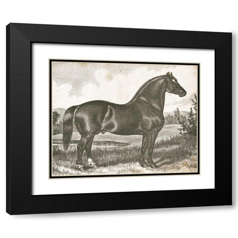 Horse Etching I Black Modern Wood Framed Art Print with Double Matting by Babbitt, Gwendolyn