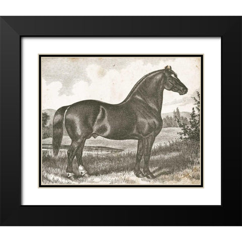 Horse Etching I Black Modern Wood Framed Art Print with Double Matting by Babbitt, Gwendolyn