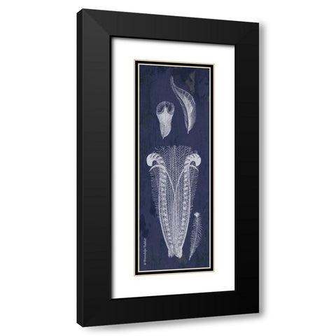 Indigo Feathers I Black Modern Wood Framed Art Print with Double Matting by Babbitt, Gwendolyn