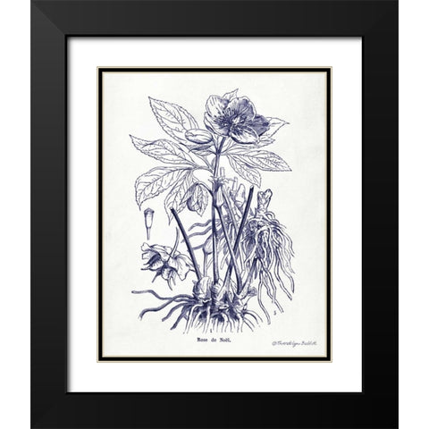 Indigo Botanical II Black Modern Wood Framed Art Print with Double Matting by Babbitt, Gwendolyn