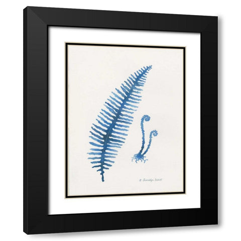 Indigo Fern II Black Modern Wood Framed Art Print with Double Matting by Babbitt, Gwendolyn