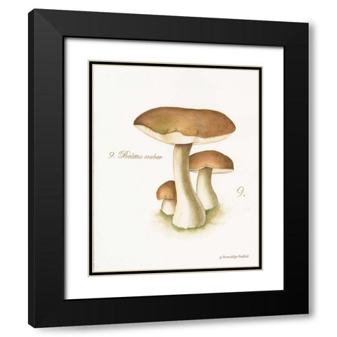 Mushroom II Black Modern Wood Framed Art Print with Double Matting by Babbitt, Gwendolyn