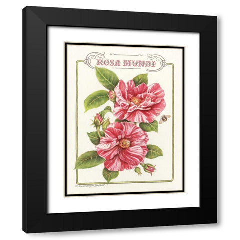 Rosa Mundi Black Modern Wood Framed Art Print with Double Matting by Babbitt, Gwendolyn
