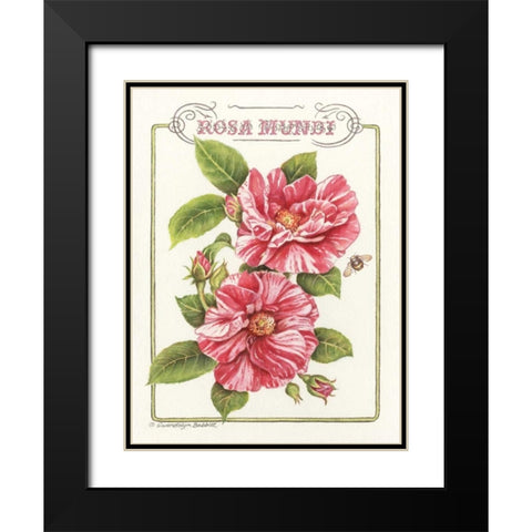 Rosa Mundi Black Modern Wood Framed Art Print with Double Matting by Babbitt, Gwendolyn