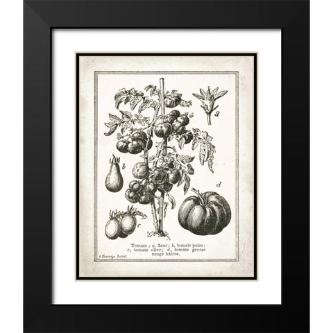 French Tomatoes Black Modern Wood Framed Art Print with Double Matting by Babbitt, Gwendolyn