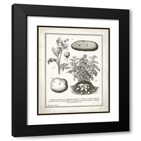 French Potatoes Black Modern Wood Framed Art Print with Double Matting by Babbitt, Gwendolyn