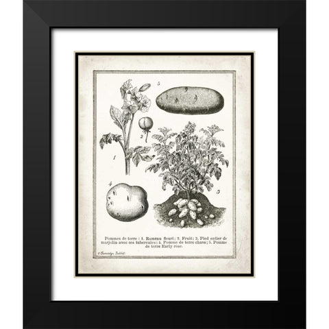 French Potatoes Black Modern Wood Framed Art Print with Double Matting by Babbitt, Gwendolyn