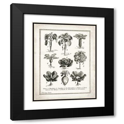 French Cabbage Black Modern Wood Framed Art Print with Double Matting by Babbitt, Gwendolyn