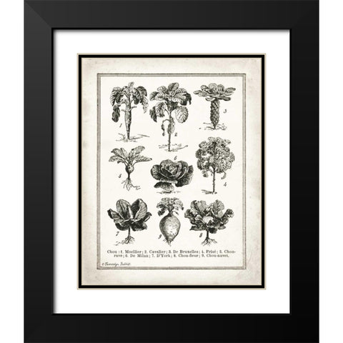 French Cabbage Black Modern Wood Framed Art Print with Double Matting by Babbitt, Gwendolyn