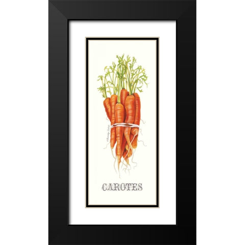 Carotes Black Modern Wood Framed Art Print with Double Matting by Babbitt, Gwendolyn