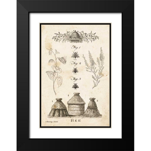 Bee Chart II Black Modern Wood Framed Art Print with Double Matting by Babbitt, Gwendolyn