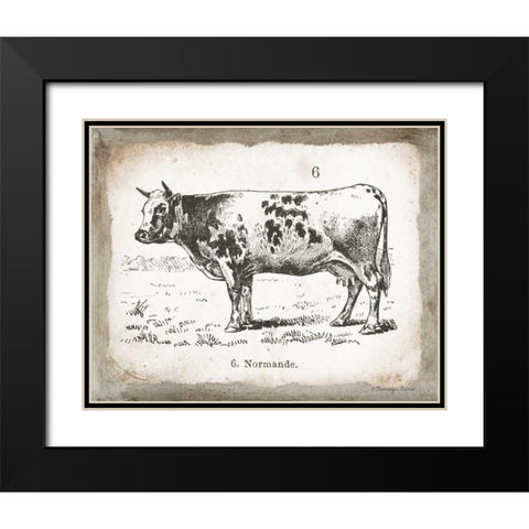 French Cow IV Black Modern Wood Framed Art Print with Double Matting by Babbitt, Gwendolyn
